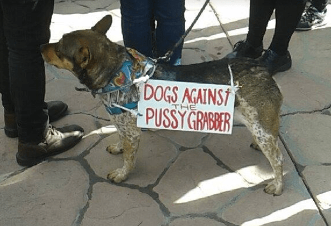dogs-against-pussy-grabbers-2