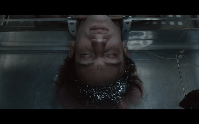 The OA P2Ep2 Liam's Seedling