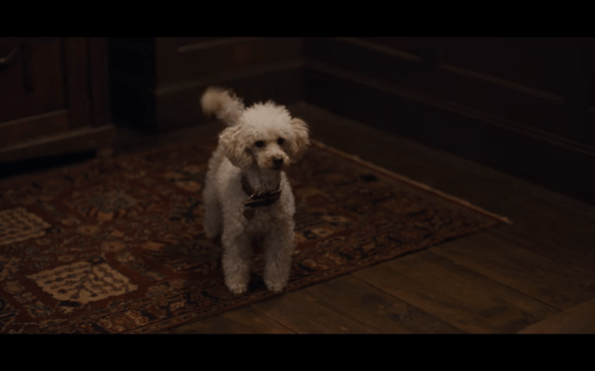 Dark S1Ep8 Greta the Dog Tiedmann 1953