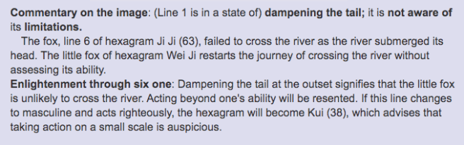 Unveiling the Mystery of the I-Ching- Hexagram Wei Ji 3.png