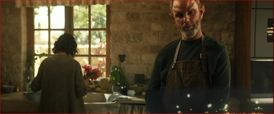 Star Trek Picard S1E1 Jamie McShane as Zhaban