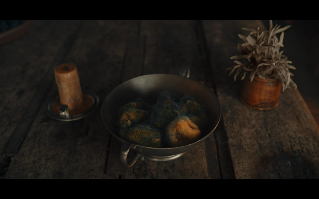 Disc of Witches Diana's Moldy Fruit