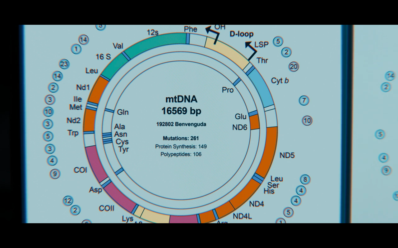 Disc of Witches S1Ep2 Benvenguda Graph