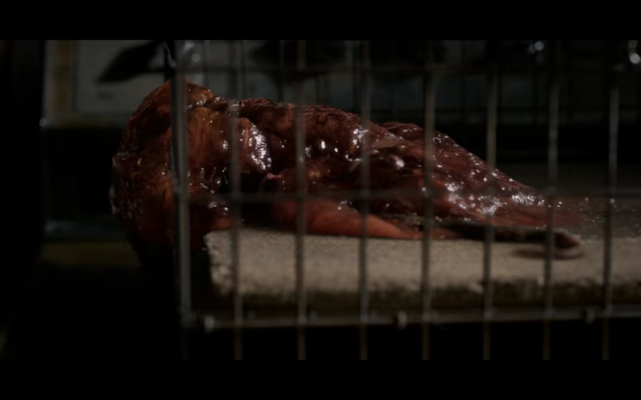 Stranger Things S3Ep2 Rat Blob in Cage