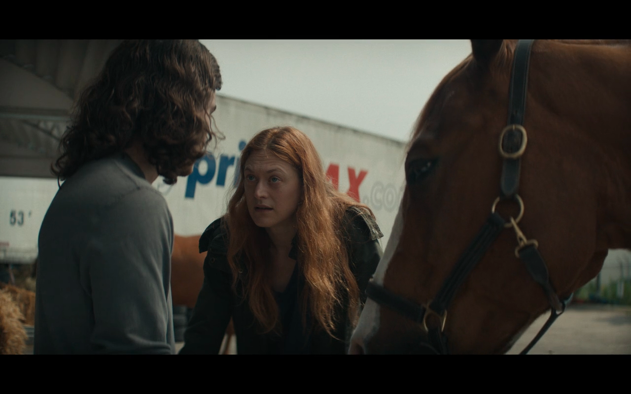 Y The Last Man S1Ep8 Sam &amp; Nora