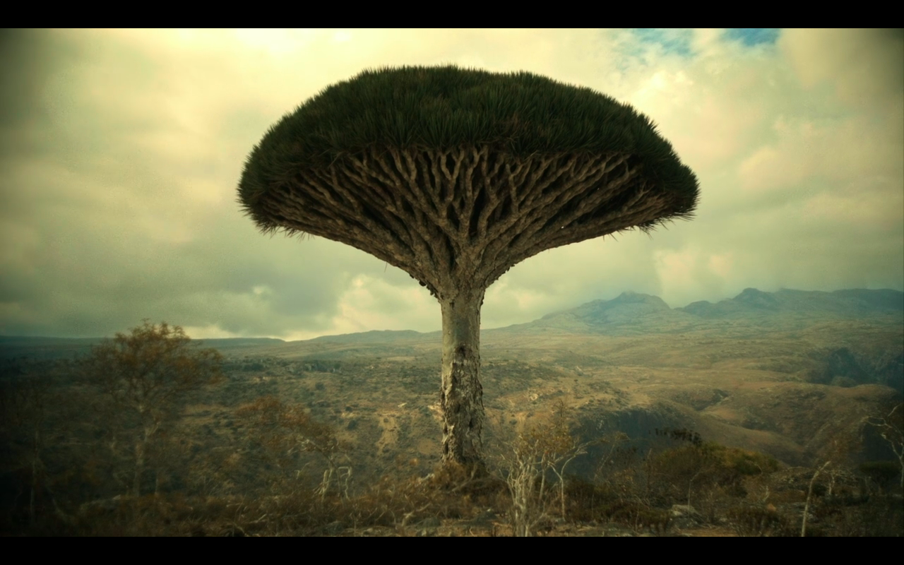 Snowpiercer S3Ep1 Clearer Vision