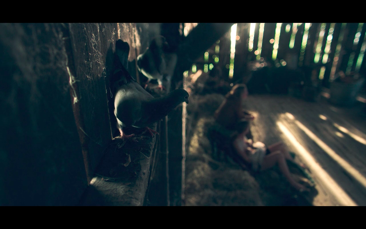 Handmaid's Tale S5Ep7 Pigeon Watches June &amp; Serena